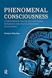 Phenomenal consciousness : understanding the relation between experience and neural processes in the brain