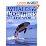 Whales and Dolphins of the World