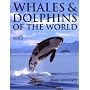 Whales and Dolphins of the World