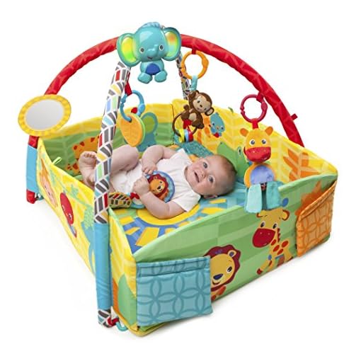 Bright Starts Baby's Play Place Epic Kids Toys