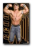 WWE JOHN CENA FLEX MUSCLES WALL POSTER 22.5X34 9385