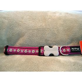 Red Dingo Designer Dog Collar, Large