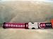 Red Dingo Designer Dog Collar, Large, Daisy Chain Purple