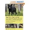 Wildlife of the Pacific Northwest: Tracking and Identifying Mammals, Birds, Reptiles, Amphibians, and Invertebrates (Timber Press Field Guide)