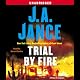Trial by Fire: A Novel of Suspense