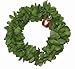 Rainview Creations Hawaii Floral Headband-haku Lei Elastic Hawaiian Haku Leis Headdress Color Solid Green