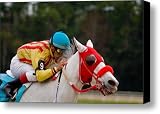 Horse Racing Canvas Print / Canvas Art - Artist Patrick Flynn