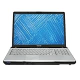 Toshiba Satellite P205-S6327 17 Laptop (Intel Core 2 Duo Processor T5300, 1 GB RAM, 200 GB Hard Drive, Vista Premium)