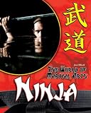 Ninja (The World of Martial Arts)