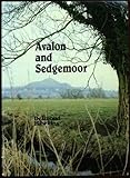 Avalon and Sedgemoor