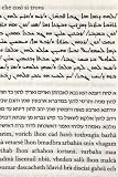 Azariah de' Rossi's observations on the Syriac New Testament : a critique of the Vulgate by a sixteenth-century Jew