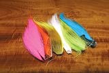 Fluorescent Bucktail Combo Pack