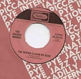 ROCKIN BERRIES - WATER IS OVER MY HEAD - 7" VINYL
