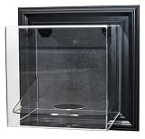 Caseworks Basketball Case-Up Display