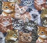 Allover Kitten Fleece Throw Blanket