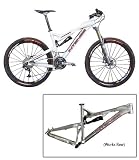 2009 Intense Tracer VP XTR