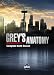Grey's Anatomy: The Complete Ninth Season