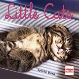 Little Cats - Sylvia Born