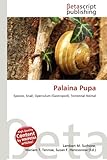 Palaina Pupa-