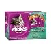 Whiskas Choice Cuts Chef's Favorites Variety Pack Food for Cats, 3-Ounce Pouches (Pack of 48)