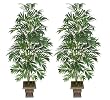 TWO 8' Artificial Bamboo Palm Trees, with No Pot, Minor Assembly Required.