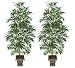 TWO 8' Artificial Bamboo Palm Trees, with No Pot, Minor Assembly Required.