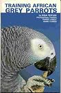 Training African Grey...