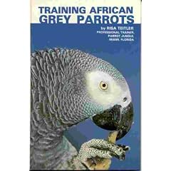 Training African Grey Parrots
