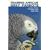 Training African Grey Parrots