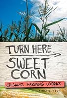 Turn Here Sweet Corn: Organic Farming Works