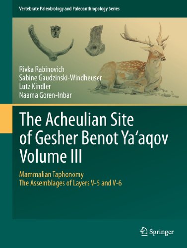 The Acheulian Site of Gesher Benot  Ya'aqov  Volume III: Mammalian Taphonomy. The Assemblages of Layers V-5 and V-6 (Vertebrate Paleobiology and Paleoanthropology)