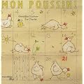 Mon poussin ! : De l'oeuf au poussin