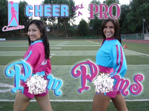 4 Silver Metallic Pom Poms - Comes in pairs - Equip your whole team!