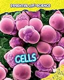 Cells