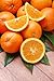 Best Vitamin C Serum Advanced Proven Anti–Wrinkle And Anti–Aging Creams Blend-Smooth’s, Plumps And Moisturizes With Hyaluronic Acid, Reduce Wrinkles, Eye Bags, And Dark Spots,Made In America