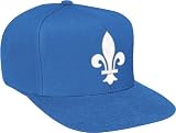 Quebec Nordiques Mitchell & Ness NHL Vintage Basic Logo Light Blue Snap Back Hat