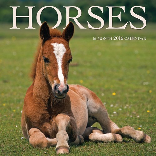 Horses 2016 Mini 7X7 Wyman
