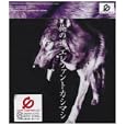 ���i�̏ڍ�