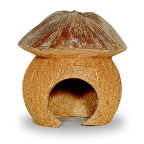 Nature's Instinct Coco Tiki House for Small Animals by Nature's Instinct