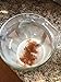 Organic Cotton Nut Milk Bag - by Dancing TreePeople Organic Farm.
