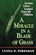 A Miracle In A Blade Of Grass: Lessons I Have Learned From My Children