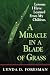A Miracle In A Blade Of Grass: Lessons I Have Learned From My Children