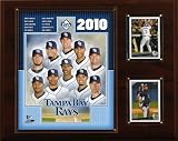 MLB Tampa Bay Rays 2010 Team Plaque
