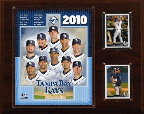 MLB Tampa Bay Rays 2010 Team Plaque