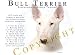 terrier32 - Bull Terrier WHITE Human Trainer Mouse Pad Dog