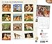 For the Love of Golden Retrievers 2016 Calendar