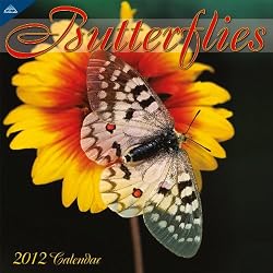 Butterflies 2012 Wall Calendar