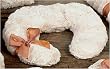 Royal Palm Vanilla Orchid Neck Pillow - Sand