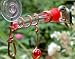 Single Tube Window Hummingbird Feeder with Decorative Red Marble
