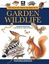 The Wildlife Trusts Handbook of Garden Wildlife